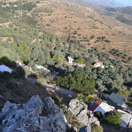 Garden Of Olive Trees Villa Asfendiles Екстериор снимка