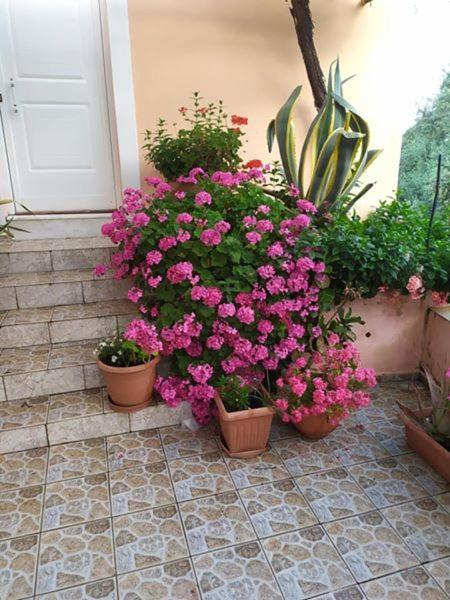 Garden Of Olive Trees Villa Asfendiles Екстериор снимка