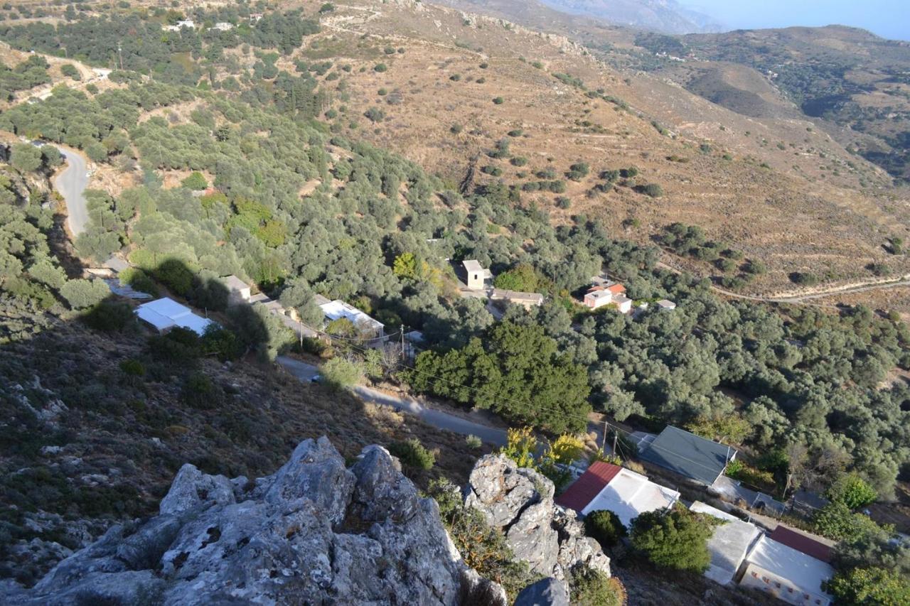 Garden Of Olive Trees Villa Asfendiles Екстериор снимка
